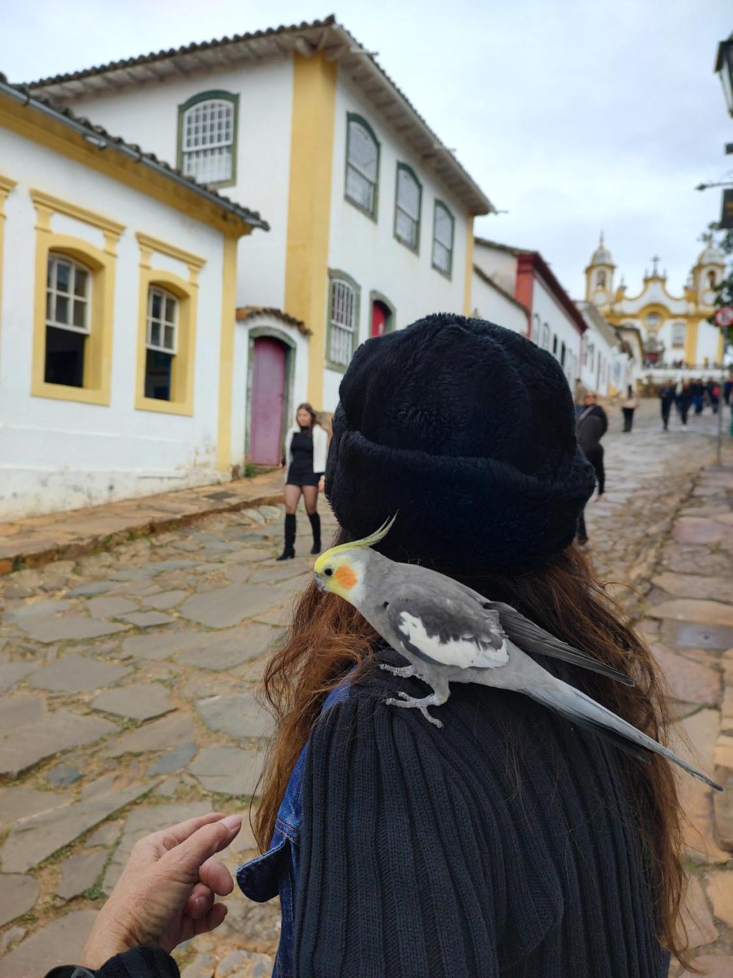 Hotel Antiquário&Pousada da Matriz Tiradentes Esterno foto